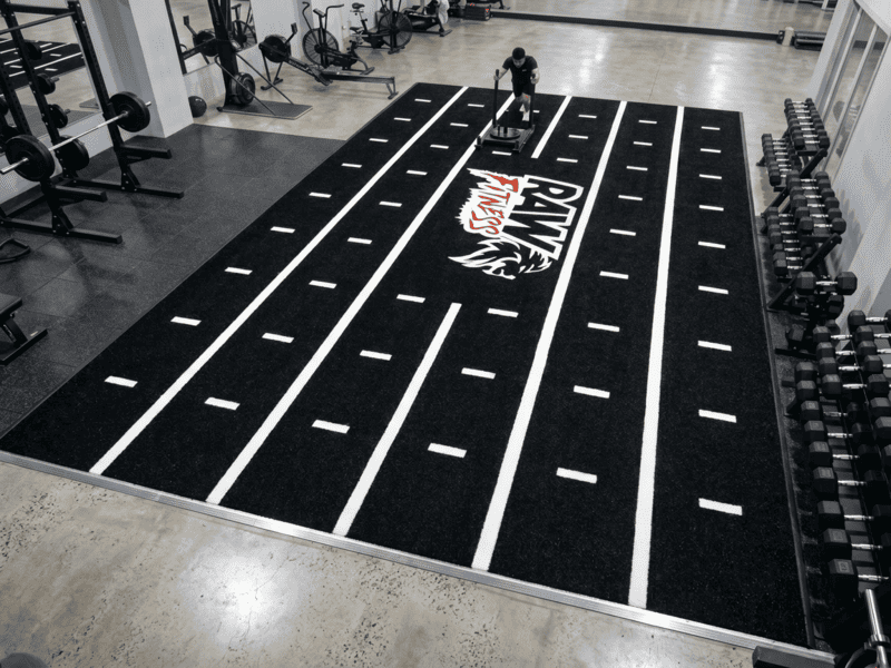 comparison of nylon vs polyethylene gym turf fibers for friction